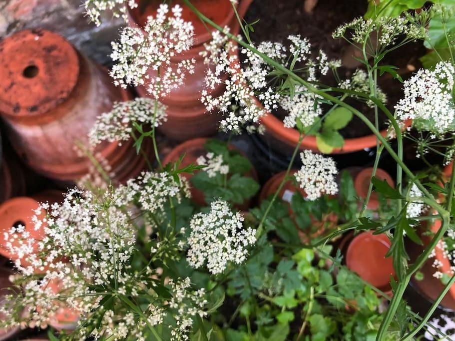 Вилла Kings Cross, Self-Contained House & Private Garden Лондон Экстерьер фото
